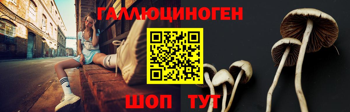 Галлюциногенные грибы мицелий  Вход с VPN  Новочеркасск 